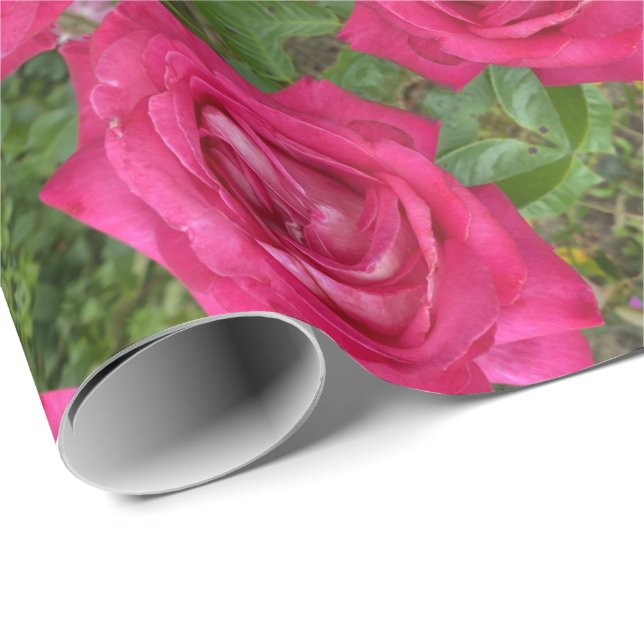 Romantische Rosen-Rose Blume Geschenkpapier (Rolleneckpunkt)