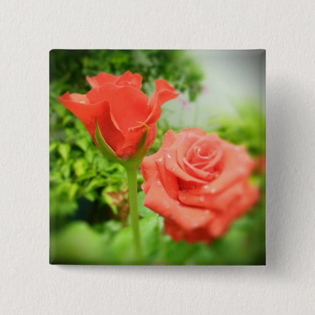 Romantische Rosenblumen Button (Vorderseite)