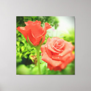 Romantische Rosenblumen Leinwanddruck