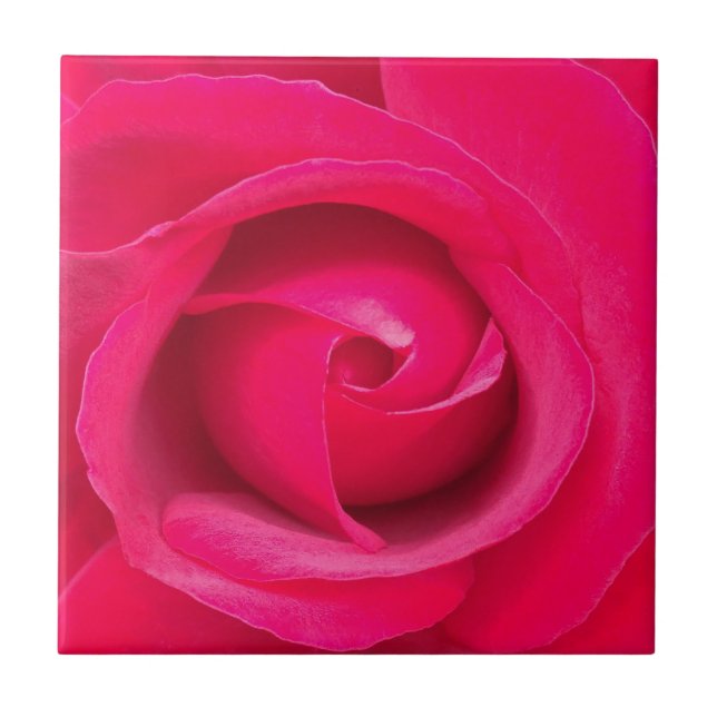 Romantische rote rosa Rose Fliese (Vorderseite)