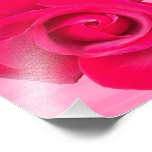 Romantische rote rosa Rose Fotodruck