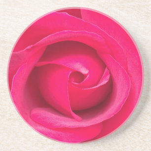 Romantische rote rosa Rose Getränkeuntersetzer