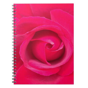Romantische rote rosa Rose Notizblock