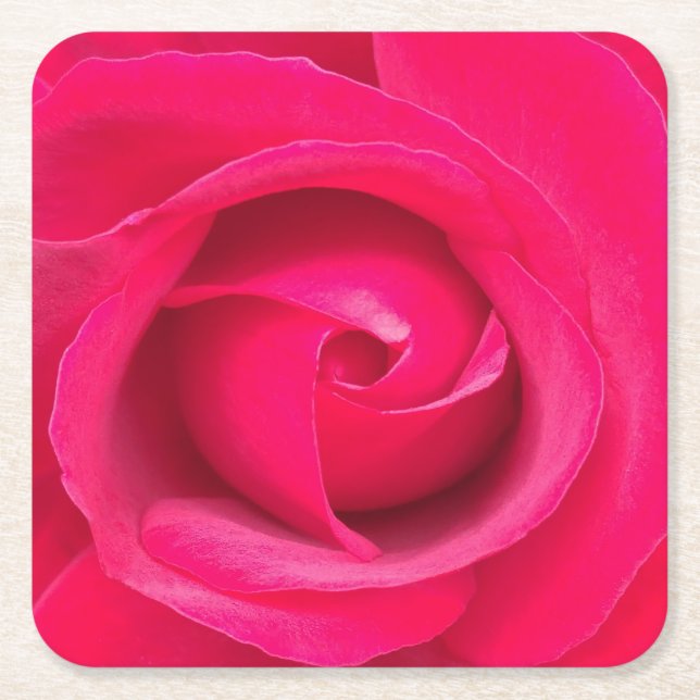 Romantische rote rosa Rose Rechteckiger Pappuntersetzer (Vorderseite)