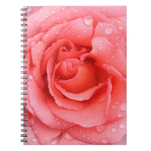 Romantische rote rosa Rosen-Wassertropfen Notizblock