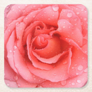 Romantische rote rosa Rosen-Wassertropfen Rechteckiger Pappuntersetzer