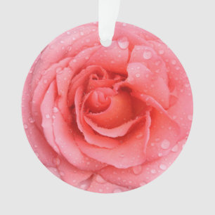 Romantische rote rosa Wassertröpfchen Ornament