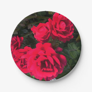 Romantische Rote Rose Blume Party Pappteller
