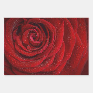 Romantische Rote Rose Geschenkpapier Set