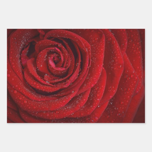 Romantische Rote Rose Geschenkpapier Set (Vorderseite)