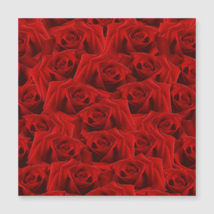 Romantische Rote Rose Magnetkarte