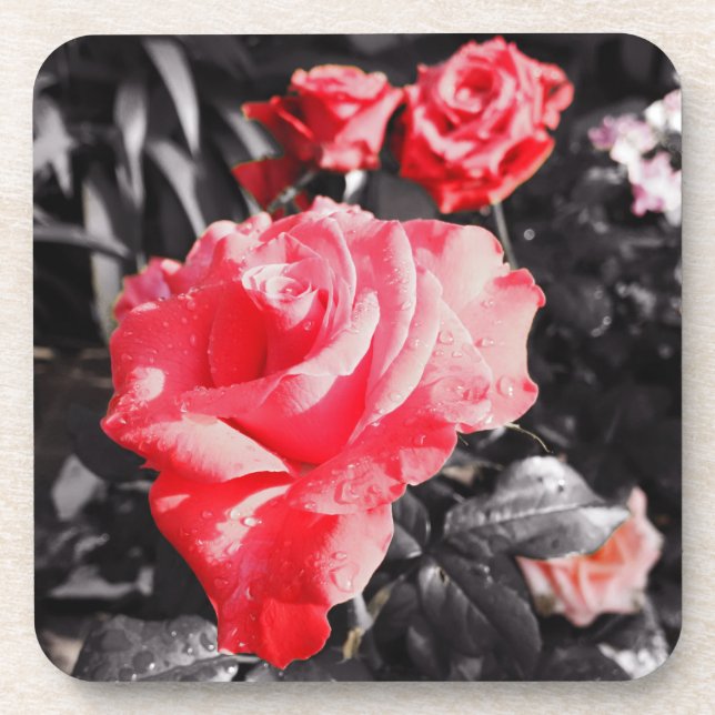 Romantische Rote Rosen Getränkeuntersetzer (Vorderseite)