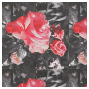 Romantische Rote Rosen Stoff