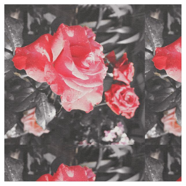 Romantische Rote Rosen Stoff (Nahaufnahme)