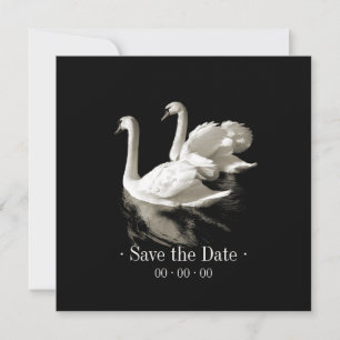 Romantische Schwäne - Save-the-Date-Ankündigung Save The Date