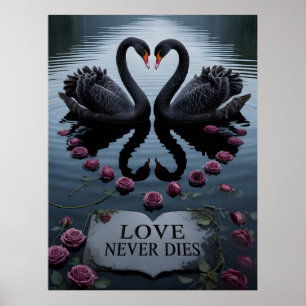 Romantische schwarze Schwäne Herz Reflexion mit Te Poster