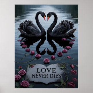 Romantische schwarze Schwäne Herz Reflexion mit Te Poster