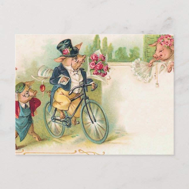 Romantische Schweine Postkarte (Vorderseite)