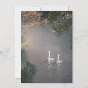Romantische Seeufer-Wasser-Schwan-Hochzeitseinladu Einladung
