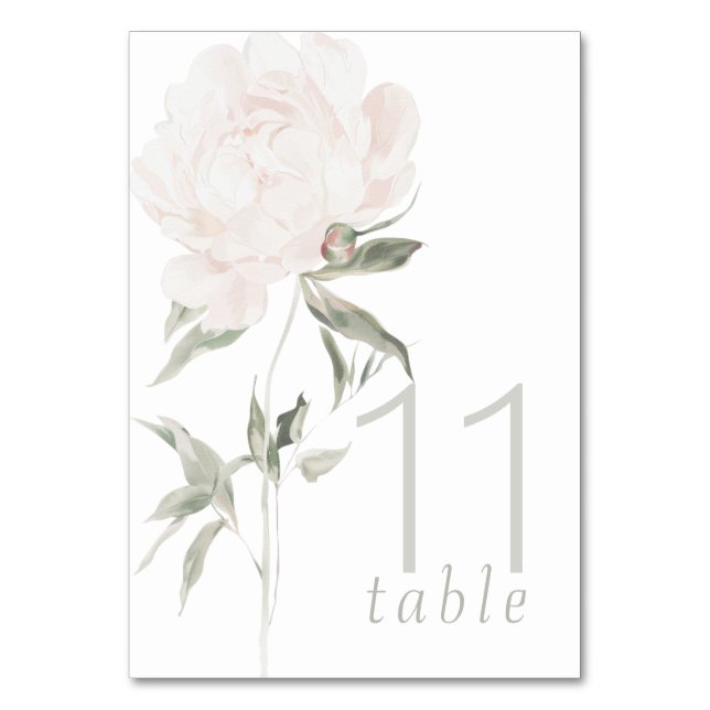 Romantische Soft Blush Pfingstrosen-Hochzeit Tischnummer (Vorderseite)