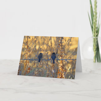 Romantische Spatzenvogelpaare, Foto-Gruß Karte