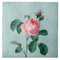 Romantische Spitze-Rose