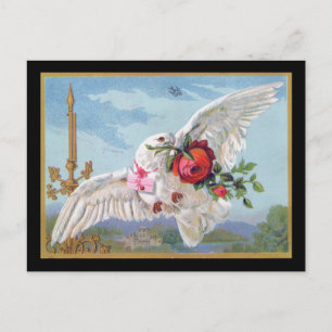 Romantische Taubpostkarte Postkarte