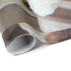 Romantische tropische exotische Muscheln Strand Li Geschenkpapier