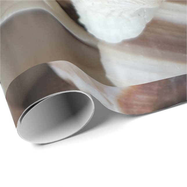 Romantische tropische exotische Muscheln Strand Li Geschenkpapier (Rolleneckpunkt)