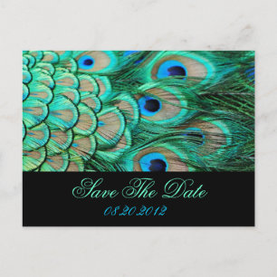 romantische Vintage-Pfau-Hochzeit - Rettet das Dat Ankündigungspostkarte