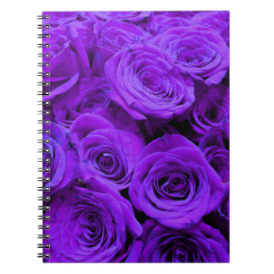 Romantische violette lila Rose, hübscher Rosenbuke Notizblock