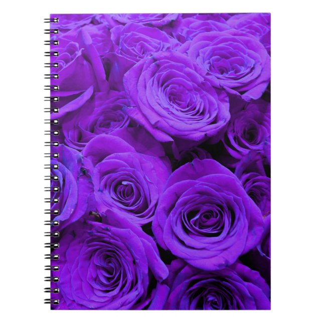Romantische violette lila Rose, hübscher Rosenbuke Notizblock (Vorderseite)