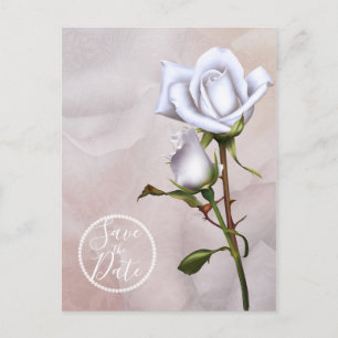 Romantische weiche weiße Rosen Elegant Termin vorm Ankündigungspostkarte
