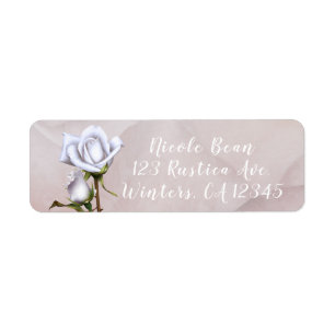 Romantische weiche weiße Rosen elegante Blumenhoch