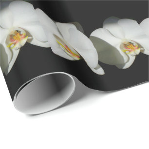 Romantische Weiße Orchideen, tropisches Foto Geschenkpapier