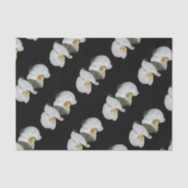 Romantische Weiße Orchideen, tropisches Foto Seidenpapier