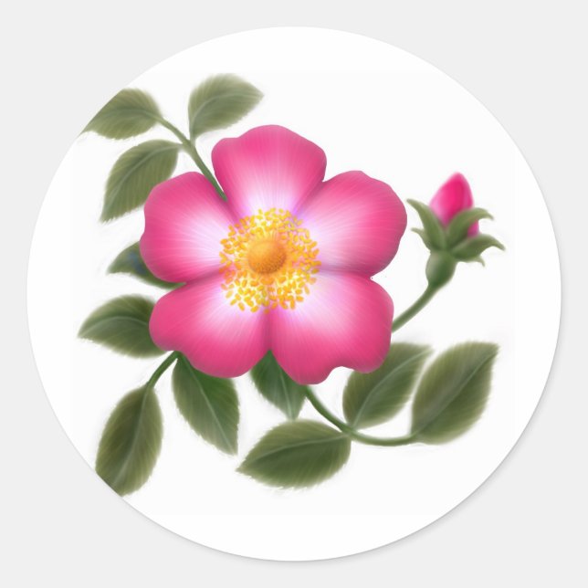 Romantische Wilde Rose Runder Aufkleber (Vorderseite)