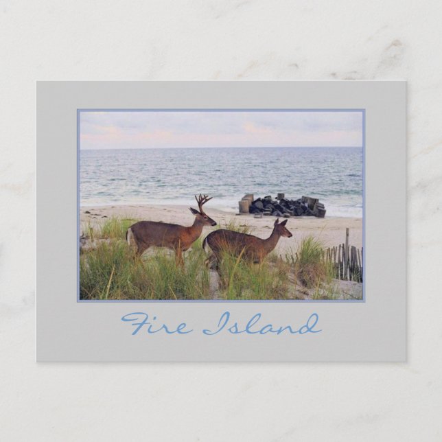 "Romantischer Abend Spaziergang entlang des Strand Postkarte (Vorderseite)