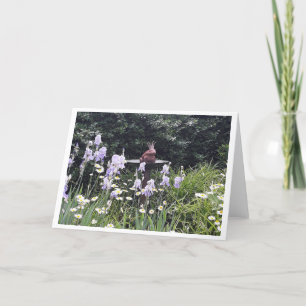 Romantischer Froschprinz und Blumen leer Karte