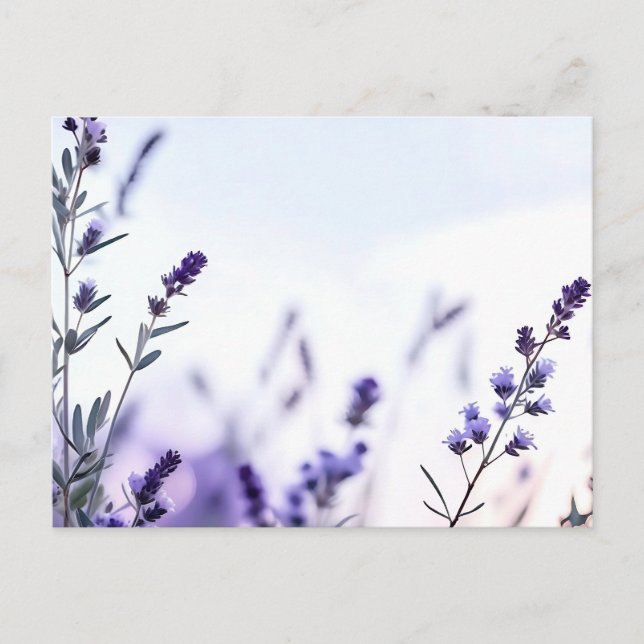 Romantischer Lavendel Watercolor Postkarte (Vorderseite)