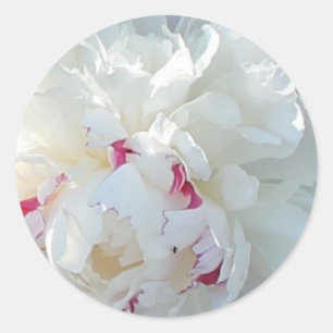 Romantischer Peony Sticker