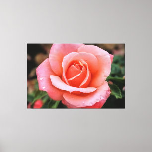 Romantischer Rosen Botanischer Kunst Druck Leinwanddruck