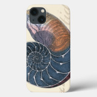 Romantischer Seashell