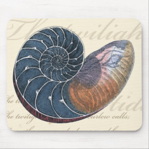 Romantischer Seashell Mousepad