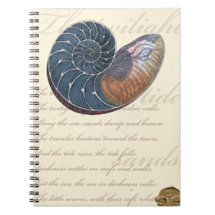 Romantischer Seashell Notizblock