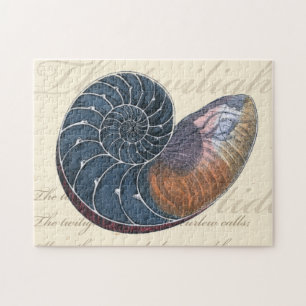 Romantischer Seashell Puzzle