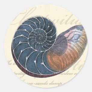 Romantischer Seashell Runder Aufkleber