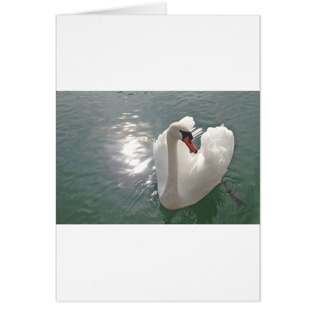 Romantischer weisser Schwan (Vorne)