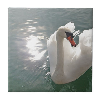 Romantischer weisser Schwan Fliese