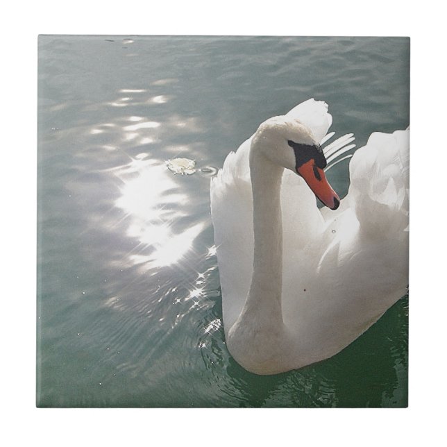 Romantischer weisser Schwan Fliese (Vorderseite)